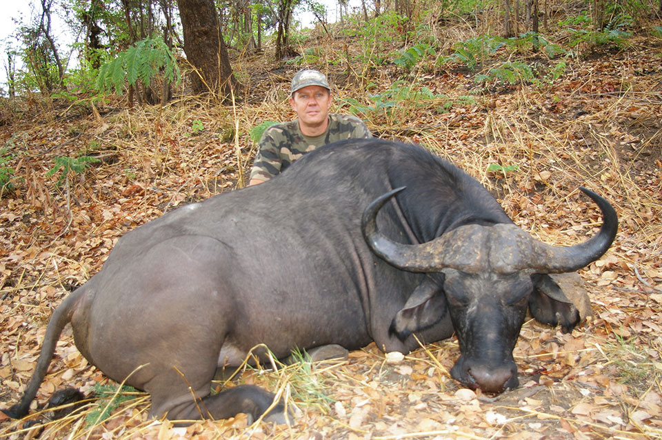 Cape-Buffalo-Hunting-Safaris-in-Southern-Africa.jpg
