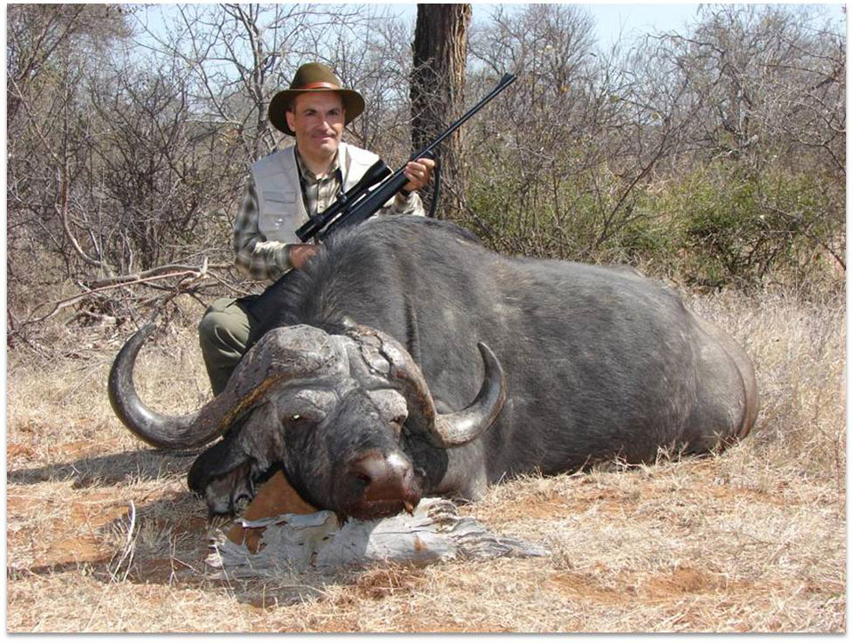 Cape-Buffalo-Hunts-South-Africa.jpg