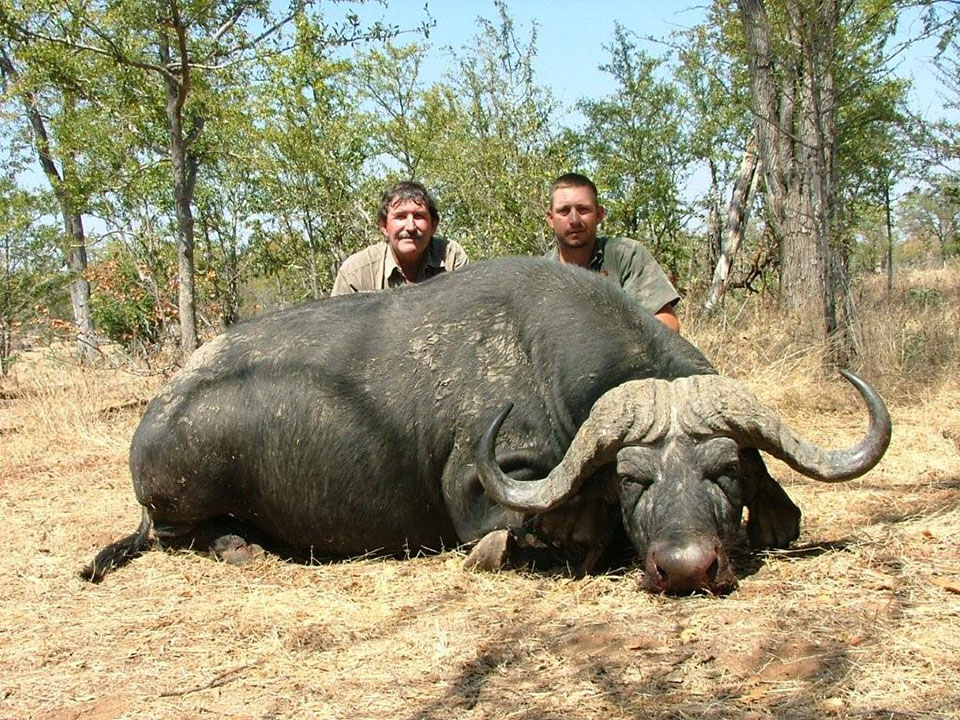 Trophy-Cape-Buffalo-Hunting-Safaris-in-South-Africa.jpg