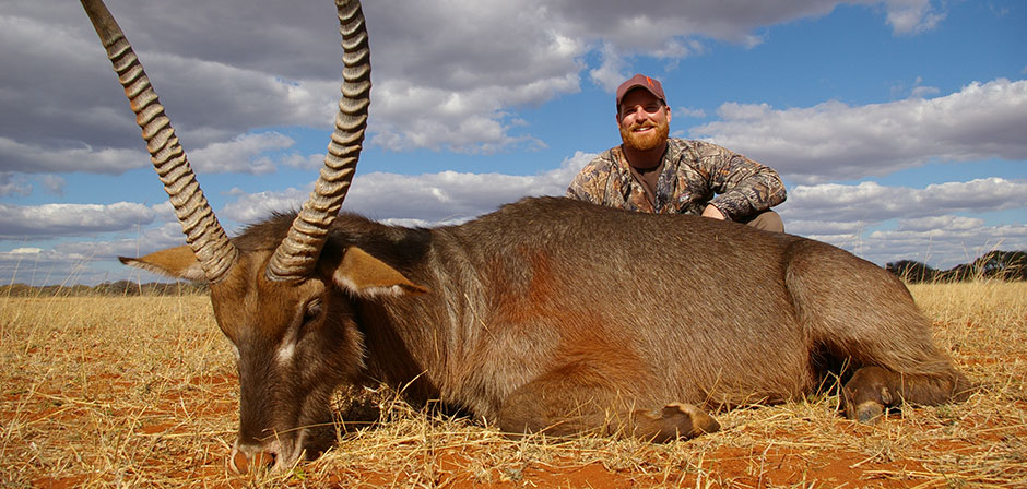 South Africa Hunting Outfitters | African Hunting Safaris