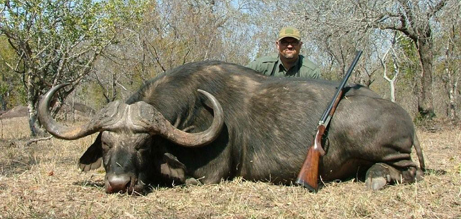 Cape Buffalo Hunting Africa | Dangerous Game Safaris Africa