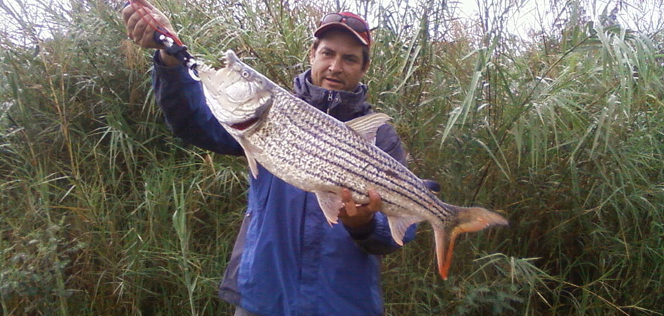 Guided Fishing Trips in South Africa | Tiger Fish in Africa